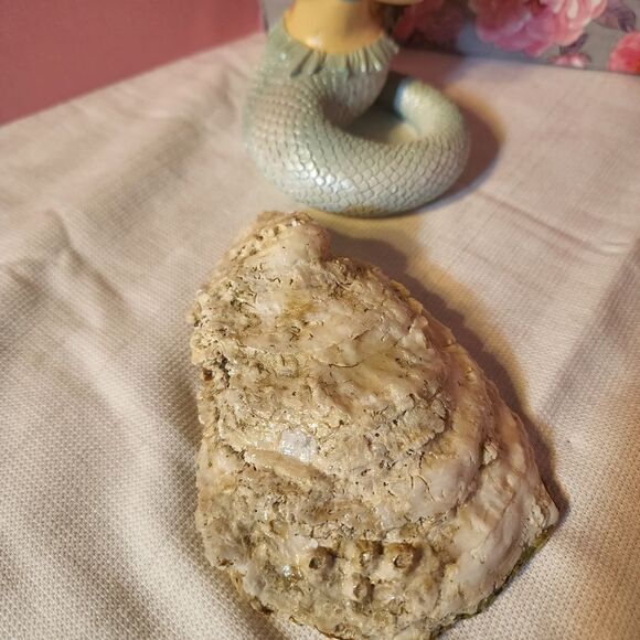 Decoupage oyster shell   - Picture 2 of 2